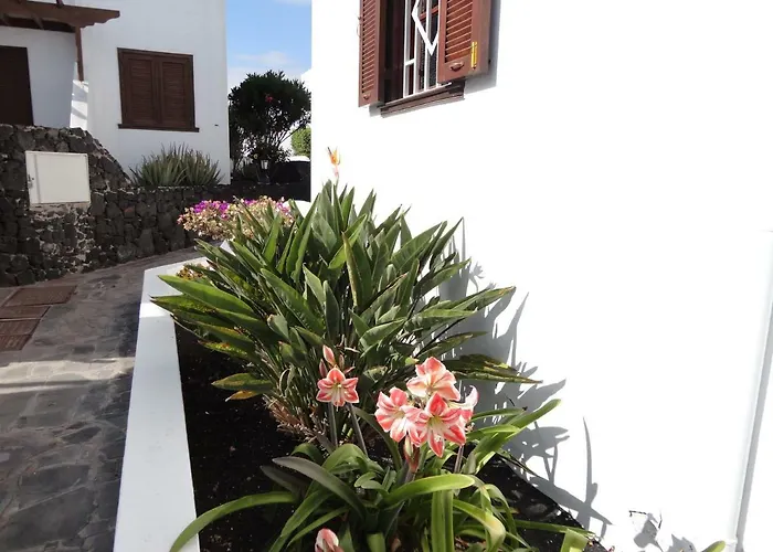 Casa Carino דירה פלאיה הונדה